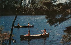 4 women in 2 canoes paddling on a lake Postcard