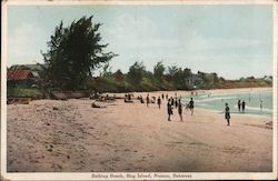 Bathing Beach, Hog Island Nassau, Bahamas Caribbean Islands Postcard Postcard Postcard