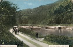 Color photograph of a bridge over a river with a horse drawn carriage on the road Kingston, Jamaica Postcard Postcard Postcard