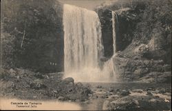 Tamarind Falls Postcard