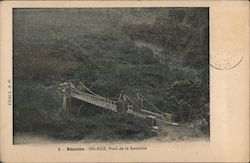 A bridge in a tropical forest Postcard