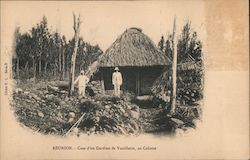 Case of a Vanillerie Guardian, Colosse Saint-Andre, Reunion Island Africa Postcard Postcard Postcard