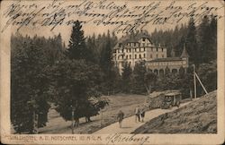 Waldhotel , 1121 Meters Notschrei, Germany Postcard Postcard Postcard