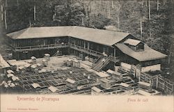 Memories of Nicaragua - Coffee farm Central America Postcard Postcard Postcard