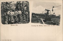 Banana Men, Crossing the Matina Luisa Farm Postcard