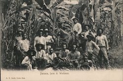 Banana Farm & Workmen Postcard