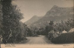 A dirt road with tropical trees and plants leading towards a mountain Postcard