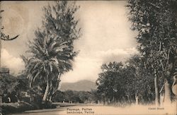 Landscape Postcard