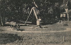 Sugar cane mill, Mahe Mahé, Seychelles Africa Postcard Postcard Postcard