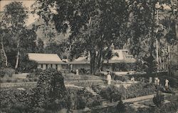 Government House and Grounds Victoria, Seychelles Africa Postcard Postcard Postcard