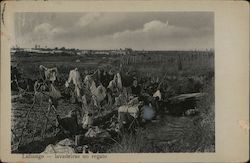 Laundry Day Lubango, Angola Africa Postcard Postcard Postcard