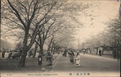 Cherry Blossom Yokohama Park Postcard