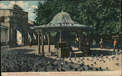 Courtyard of the Mosque of Eyüp Postcard