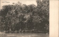 Upper Chagres River Panama Postcard Postcard Postcard