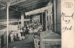 Workers unloading barrels and crates in a wharf Panama City, Panama Postcard Postcard Postcard