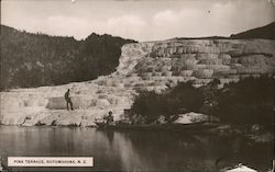 View of Pink Terrace Postcard