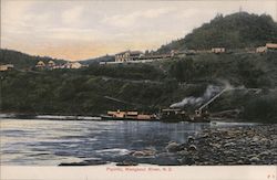 Whanganui River Postcard