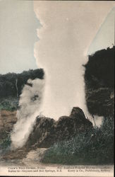 Crow's nest geyser, Taupo, Geysers and Hot Springs, N.Z. New Zealand Postcard Postcard Postcard