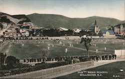 2033 Basin Reserve Wellington N.Z.- Cricket ground Postcard