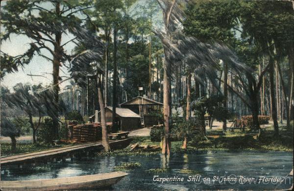 Turpentine Still on St. Johns River Florida Postcard