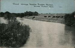 View Along North Platte River Nebraska Postcard Postcard Postcard