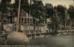 Cottages at Blodgetts, Lake Sunapee Postcard