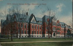 Natural History Building, University of Illionois Postcard