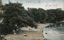 Shore Scene, Peaks Island Postcard