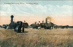 Canadian Harvesting Scenes: Threshing Wheat Postcard