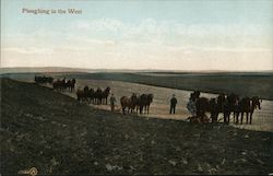 Ploughing in the West Postcard