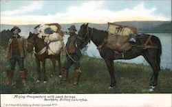 Mining Prospectors with Pack Horses British Columbia Canada Postcard Postcard Postcard