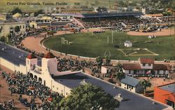 Florida Fair Grounds Postcard