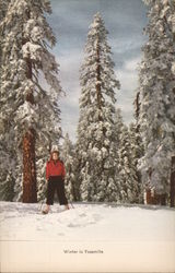 Winter in Yosemite Yosemite National Park, CA Postcard Postcard Postcard