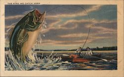 The Kind We Catch Here - Giant Fish Postcard