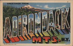 Greetings from Adirondack Mts. N.Y. New York Postcard Postcard Postcard