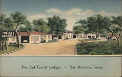 The Oak Tourist Lodges Postcard