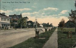 Scene along Park Drive Postcard