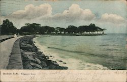 Seaside Park Bridgeport, CT Postcard Postcard Postcard