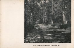 Deer Park Drive Postcard