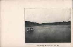 Lake Scene Postcard