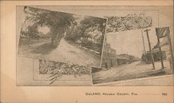 Volusia County Deland, FL Postcard Postcard Postcard