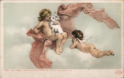 "The Rabbit" Tojetti's Cupids- Ponce De Leon St. Augustine, FL Postcard Postcard Postcard