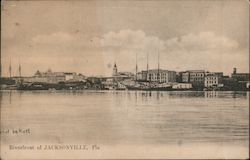 Riverfront Jacksonville, FL Postcard Postcard Postcard