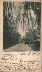 Riverside Avenue Jacksonville, FL Postcard Postcard Postcard