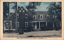 South Carolina Vintage Postcards & Images