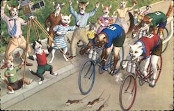 Cats Riding Bikes and Other Cats Watching Mice Running In Front Postcard