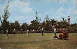 Sporty Sunset Golf and Country Club on Snell Isle - "The Sunshine City" Postcard