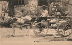 Negro Hut - Barbados Postcard