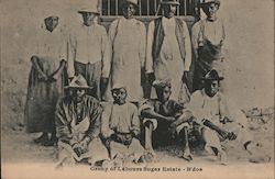 Group of Labours Sugar Estate - B'dos Barbados Postcard Postcard Postcard