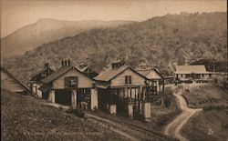 Cacao Estate Buildings, Trinidad Postcard